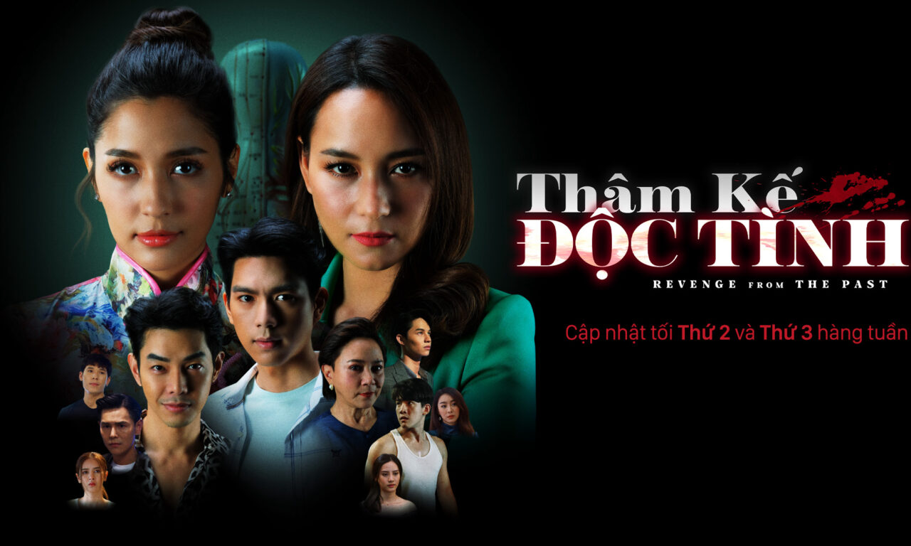 Poster of Thâm Kế Độc Tình