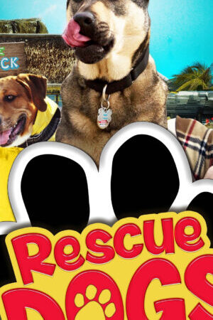 Xem phim Chú Chó Cứu Hộ  - Rescue Dogs (2016)