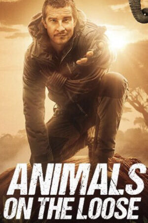 Xem phim Bạn đối đầu với thiên nhiên Dã thú trốn thoát  - Animals on the Loose A You vs Wild Movie (2021)