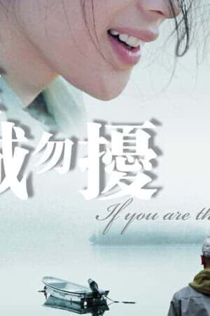 Xem phim Nếu em là người tình  - If You Are the One (2008)