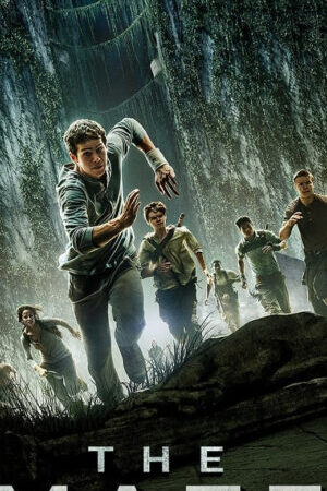 Xem phim Giải Mã Mê Cung  - The Maze Runner (2014)