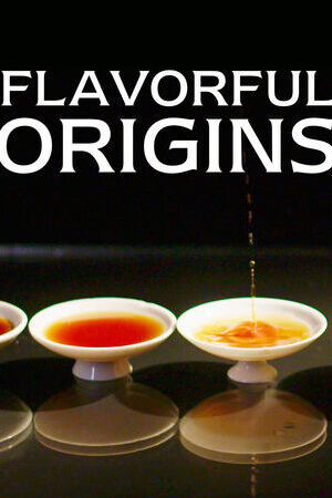 Xem phim Nguồn gốc của hương vị ( 1) Ẩm Thực Triều Sán  - Flavorful Origins (Season 1) (2019)