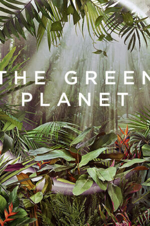 Xem phim Hành Tinh Xanh  - The Green Planet (2022)