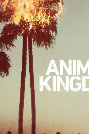 Xem phim Vương quốc động vật ( 1)  - Animal Kingdom (Season 1) (2016)