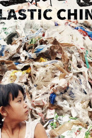 Xem phim Vương Quốc Nhựa  - Plastic China (2017)