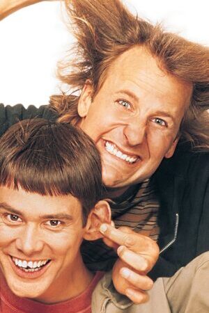 Xem phim Siêu Ngốc Gặp Nhau  - Dumb and Dumber (1994)