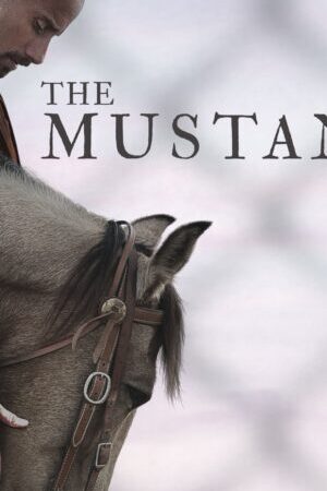 Xem phim Mustang Thuần hóa  - The Mustang (2019)