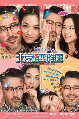 Xem phim Truy Tìm Người Đàn Ông Hoàn Hảo  - Finding MrRight (2013)