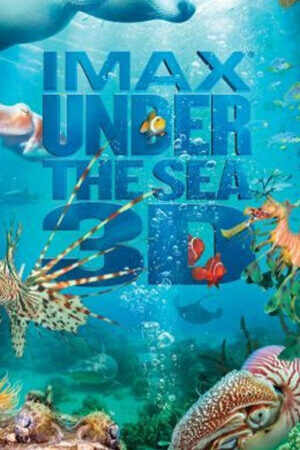 Xem phim Dưới Lòng Đại Dương  - Under the Sea 3D (2009)