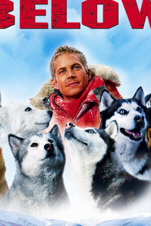 Xem phim Những Chú Chó Dũng Cảm  - Eight Below (2006)