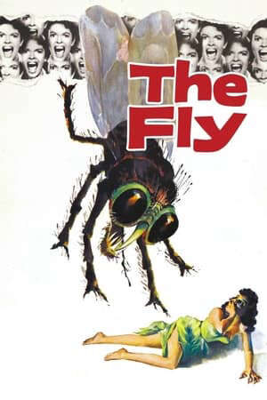 Xem phim Người Ruồi  - The Fly (1958)