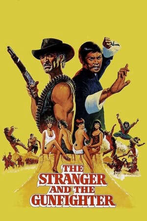 Xem phim Người Lạ và Tay Súng  - El Kárate el Colt y el ImpostorThe Stranger and the Gunfighter (1974)