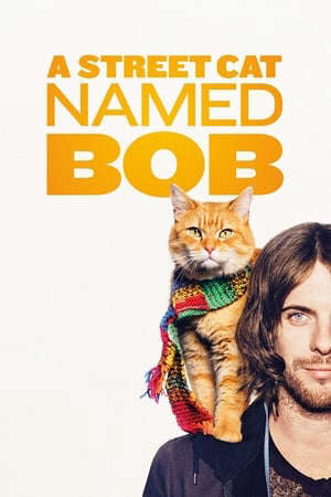 Xem phim Chú Mèo Đường Phố Bob  - A Street Cat Named Bob (2016)