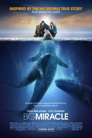 Xem phim Phép Màu (2012)  - Big Miracle (2012)